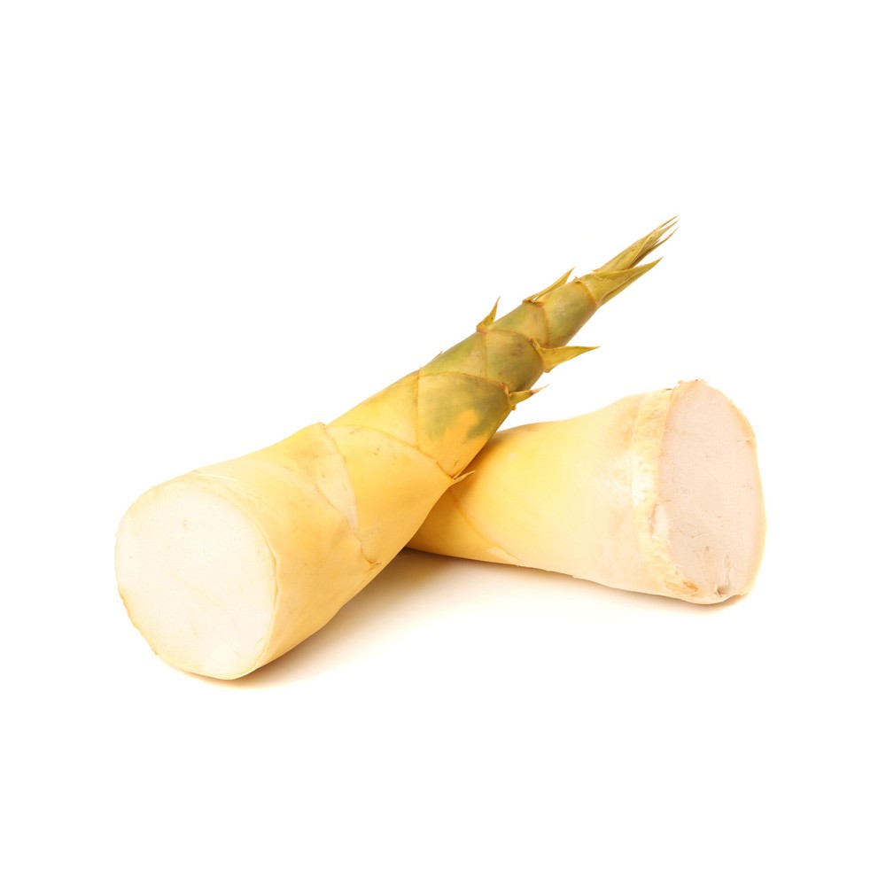 BAMBOO SHOOT FRESH