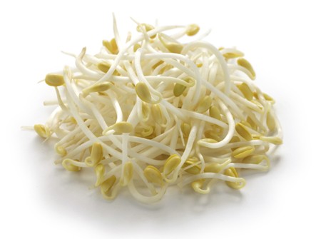 BEAN SPROUT FRESH
