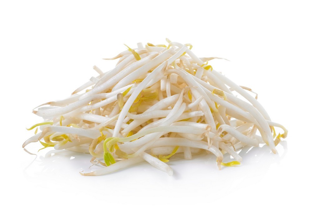 BEAN SPROUT LARGE (SOYA) FRESH