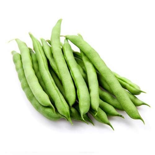 BEANS STRING FRESH