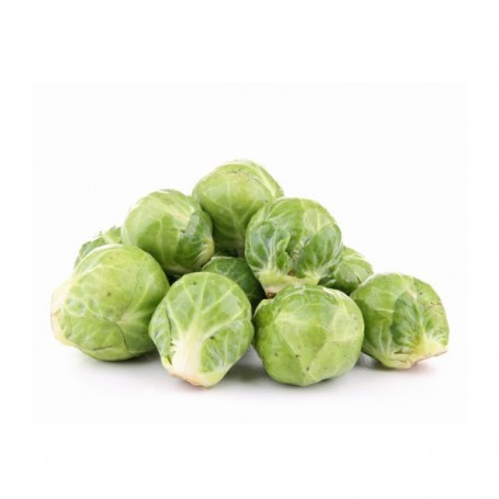 BRUSSELS SPROUT FRESH