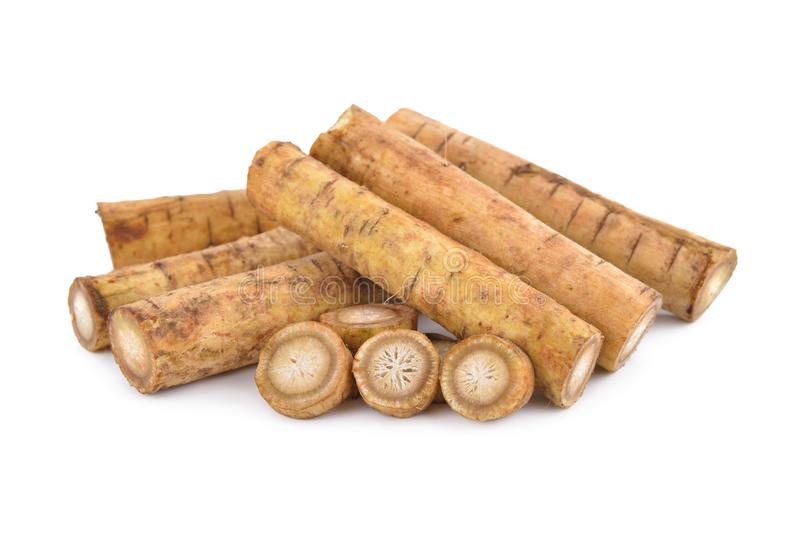 BURDOCK (GOBO) FRESH