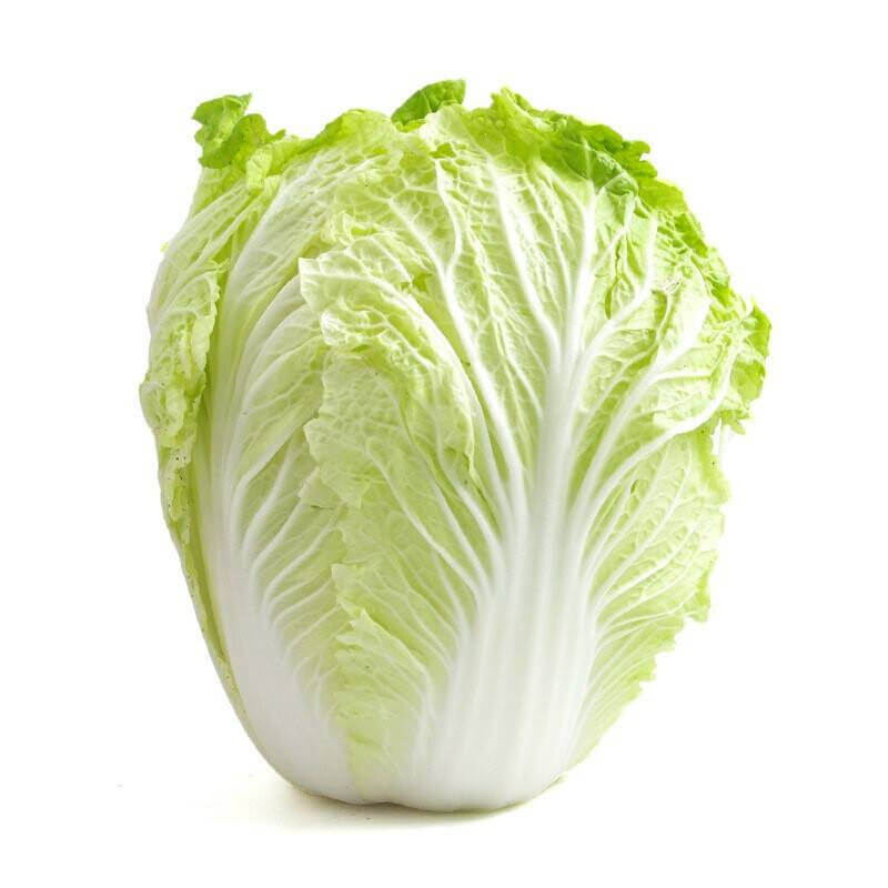 CABBAGE CHINESE FRESH