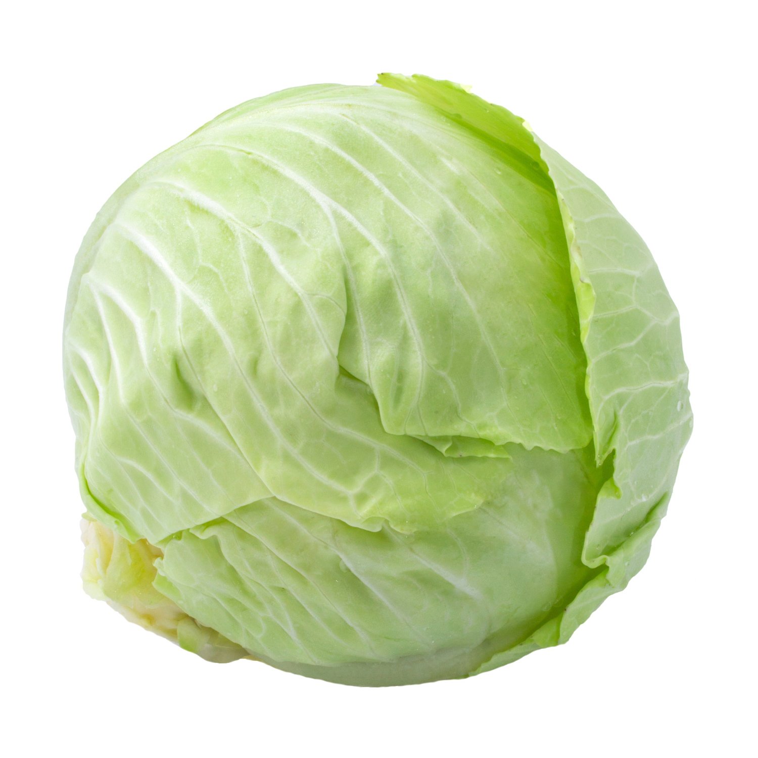 CABBAGE HARD WHITE FRESH