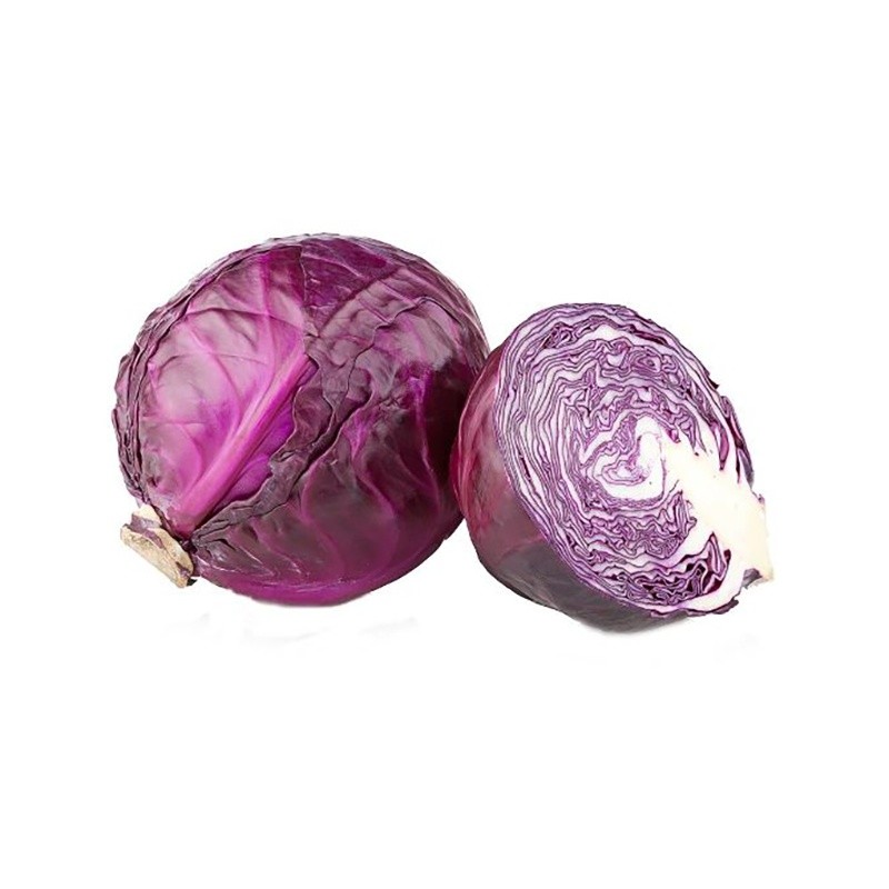 CABBAGE RED FRESH