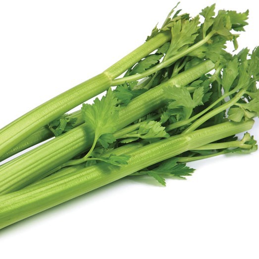 CELERY TABLE FRESH