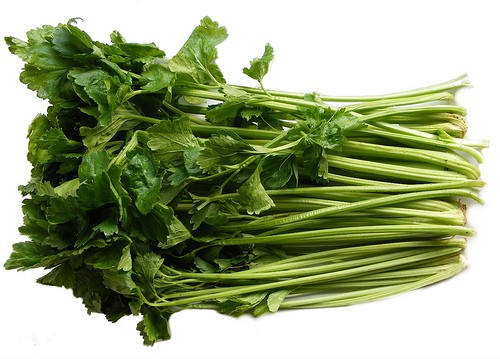 CELERY JAPANESE (MITSUBA)