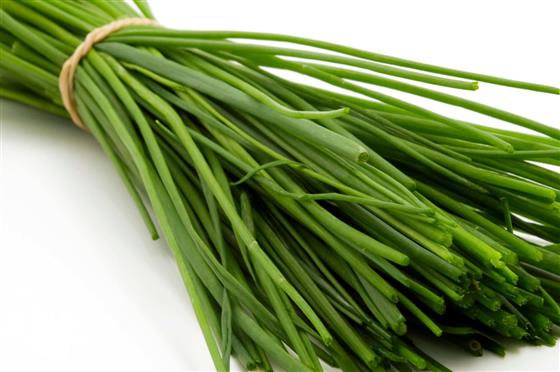 CHIVES STEM FRESH