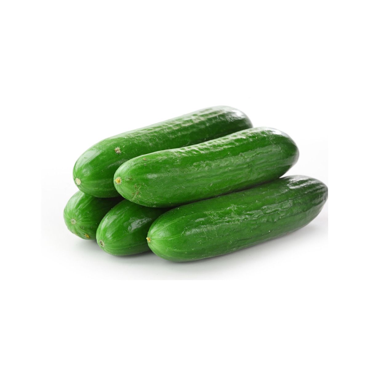 CUCUMBER FRESH