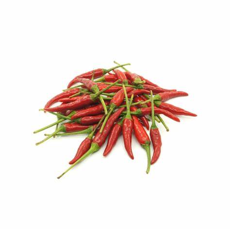 CHILI PADI FRESH