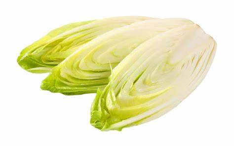 ENDIVE BELGIAN FRESH