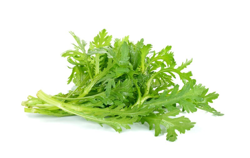 GARLAND CHRYSANTHEMUM FRESH