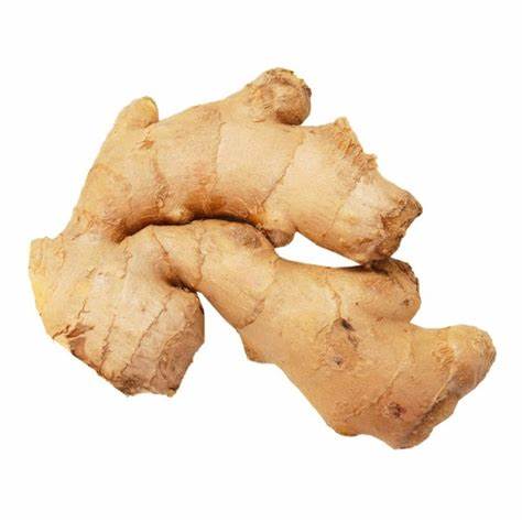 GINGER ROOT FRESH