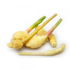 GINGER YOUNG (HAJIKAMI) FRESH