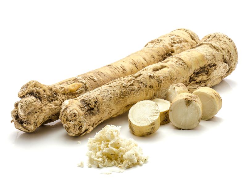 HORSERADISH FRESH