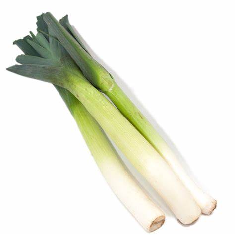 LEEK FRESH
