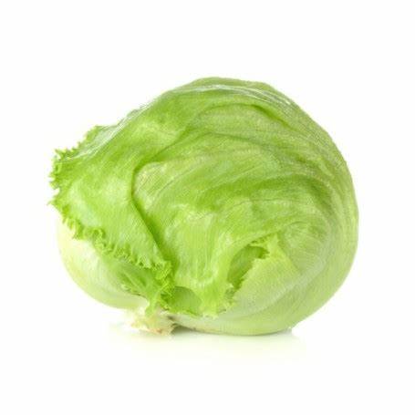 LETTUCE ICEBERG FRESH