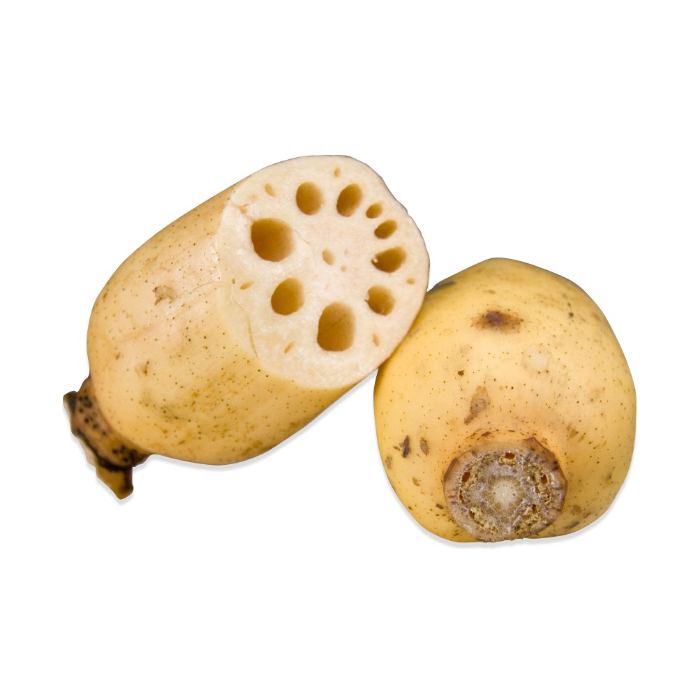 LOTUS ROOT FRESH