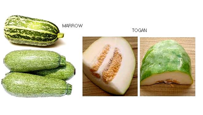 MARROW JAPANESE TOGAN FRESH
