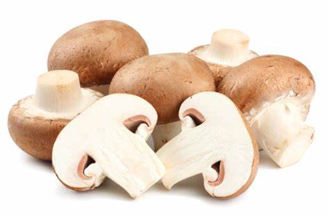 MUSHROOM FRESH