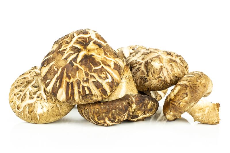 MUSHROOM FRESH DARK (SHIITAKE)