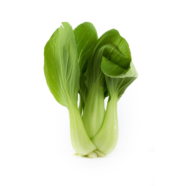 PAC CHOI FRESH