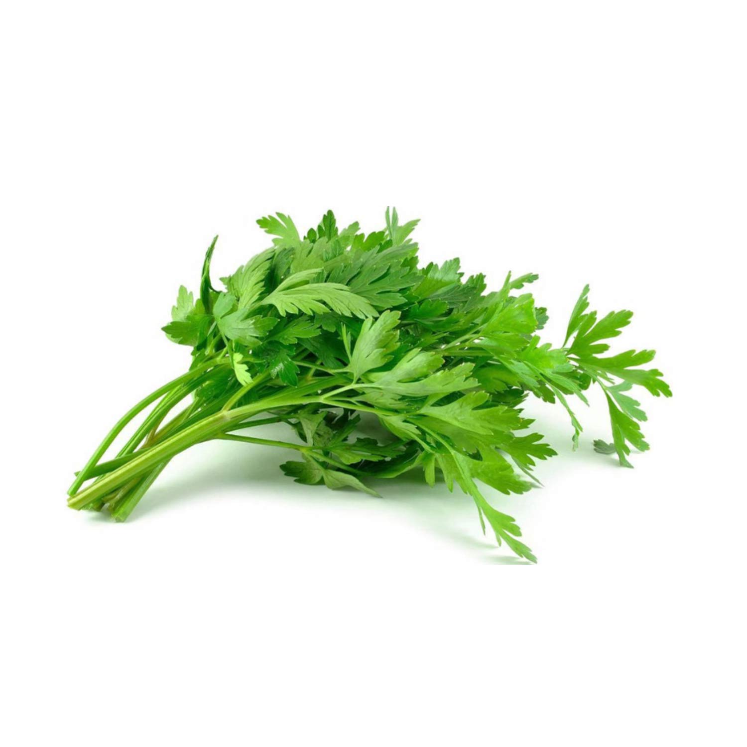 PARSLEY FRESH