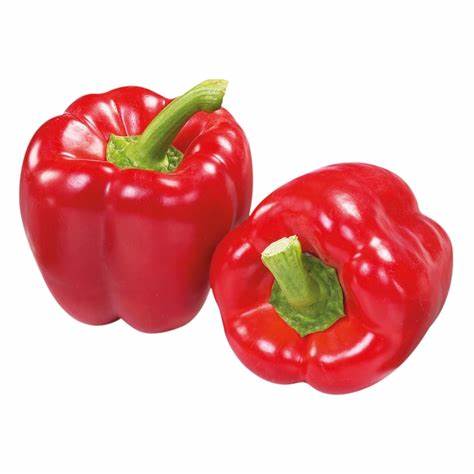 PEPPER BELL RED FRESH
