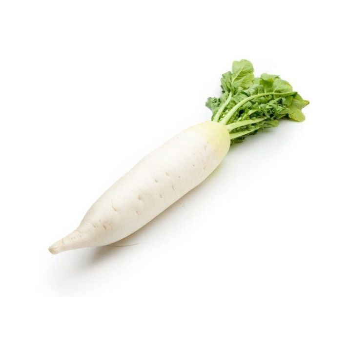 RIDGE GOURD INDIAN (TURAI)