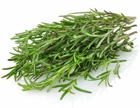 ROSEMARY FRESH