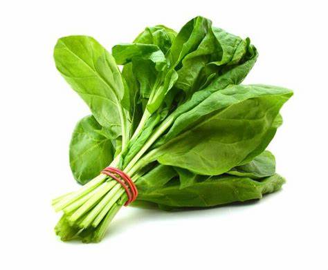 SPINACH FRESH