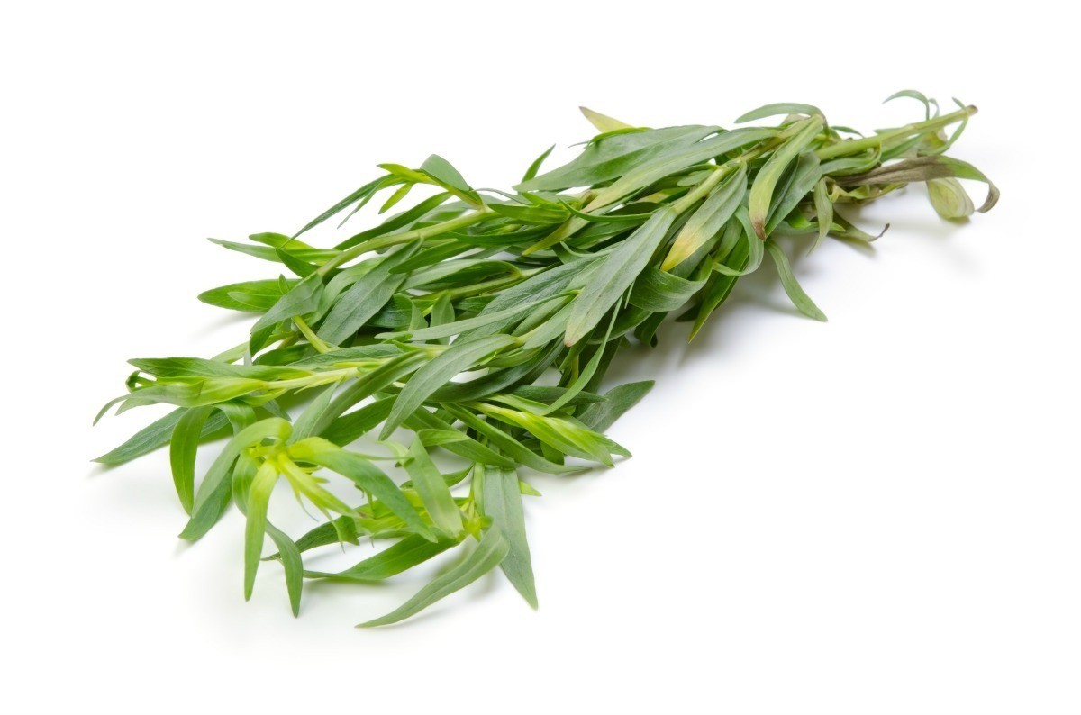 TARRAGON (ESTRAGON) FRESH