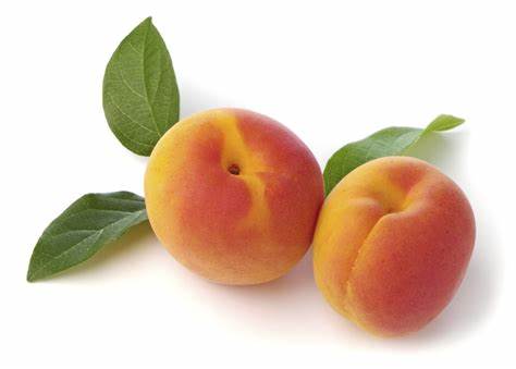 APRICOT FRESH