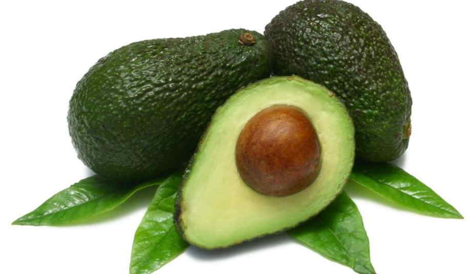 AVOCADO FRESH