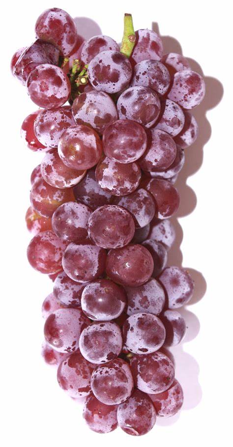 GRAPE DELAWARE FRESH