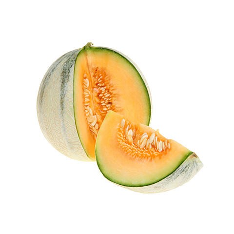MELON SWEET CANTALOUPE FRESH