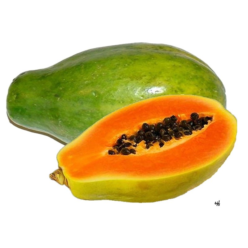 PAPAYA FRESH