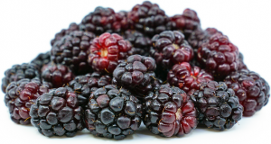 BOYSENBERRY FROZEN