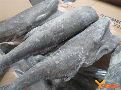 CODFISH HEADLESS FROZEN