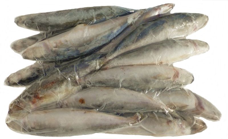 EEL WHOLE FROZEN