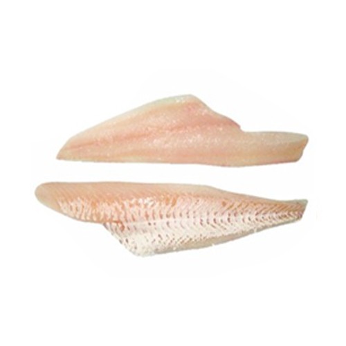 HADDOCK FILLET FROZEN