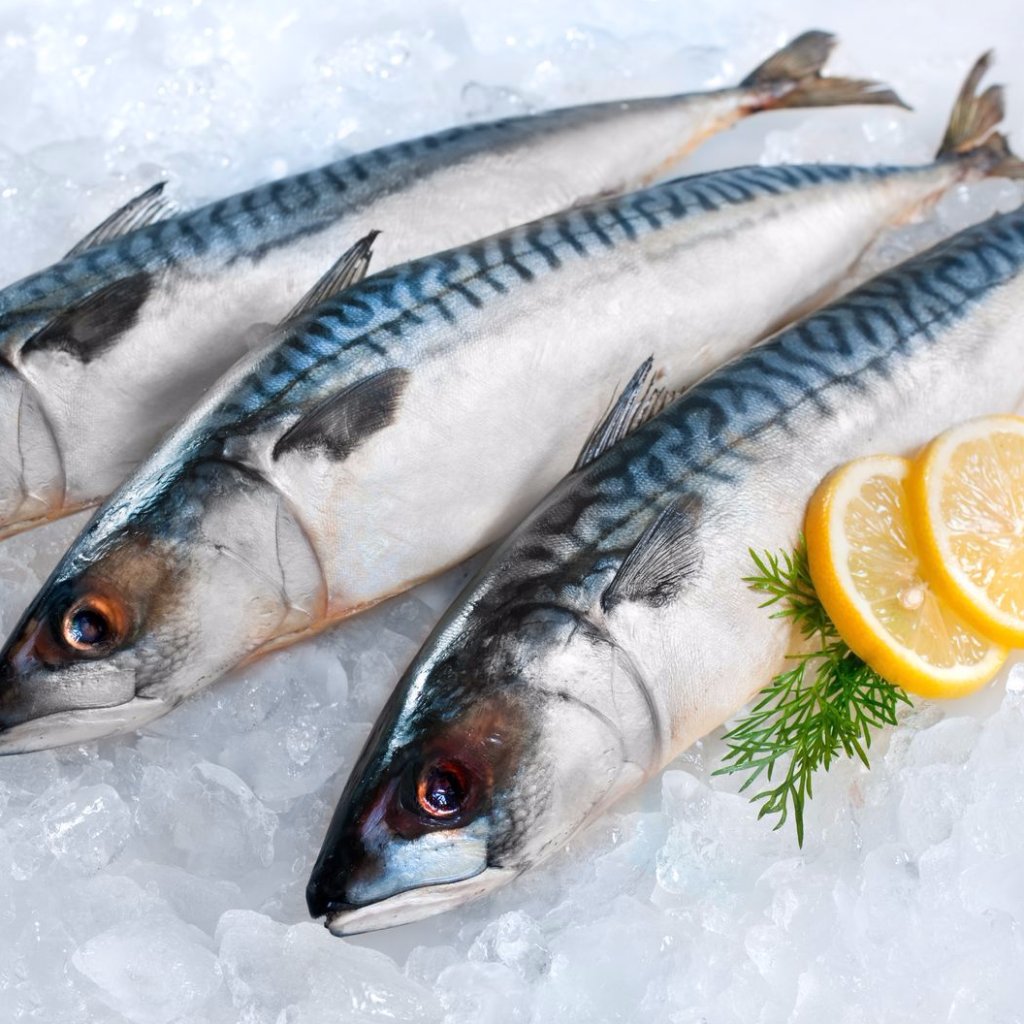 MACKEREL HORSE FROZEN