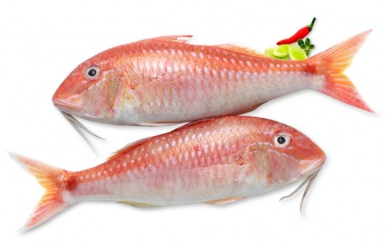 MULLET WHOLE FROZEN