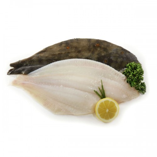 PLACE FILLET FROZEN