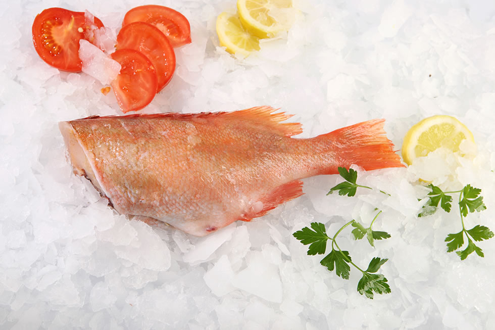 RED FISH (GAROUPA) HEADLESS