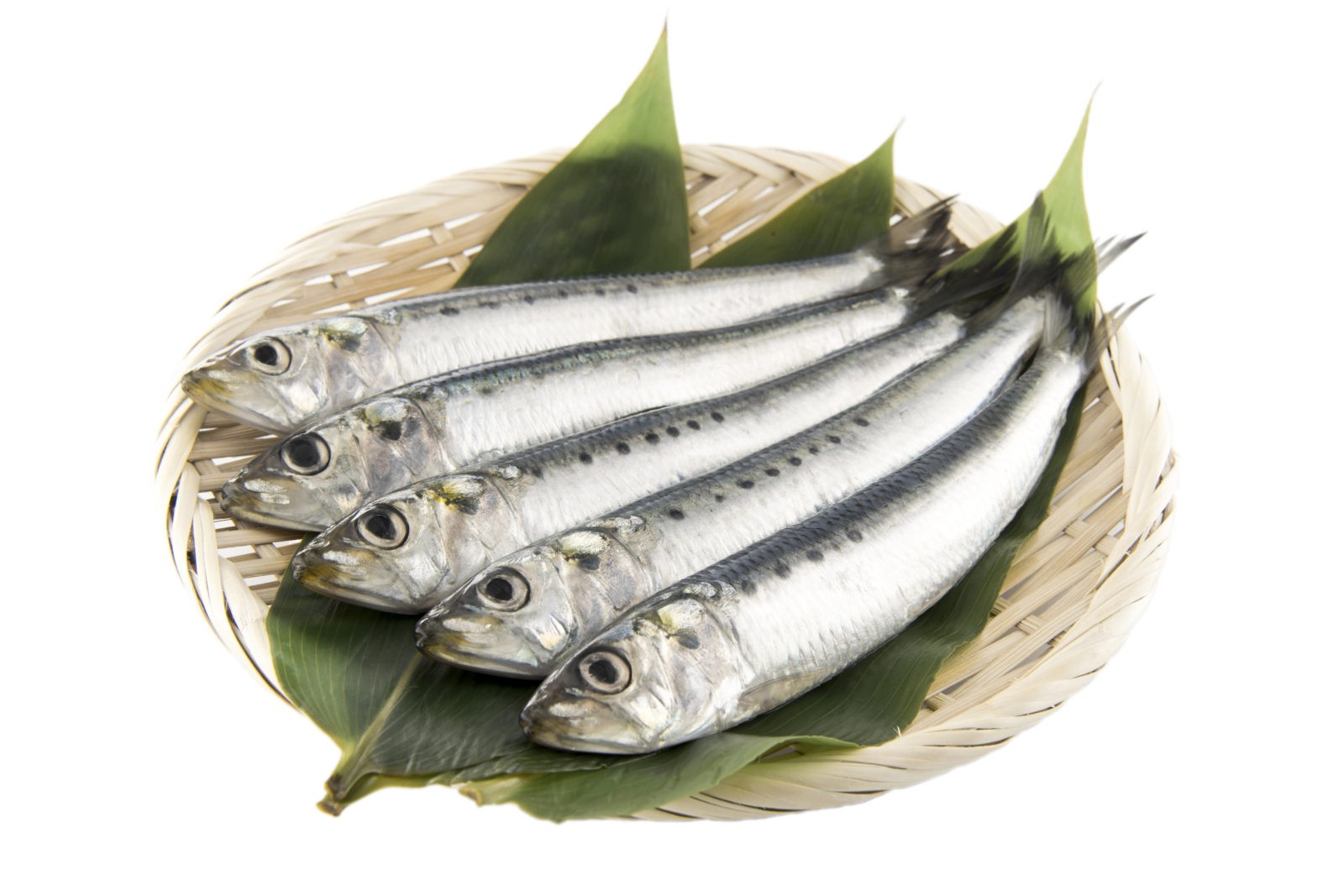 SARDINE FROZEN