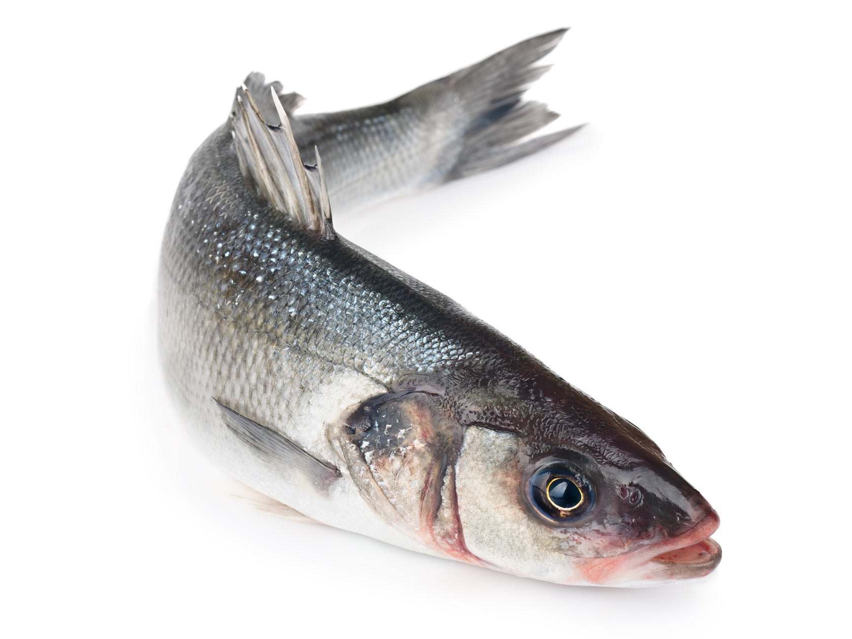 SEABASS WHOLE FROZEN