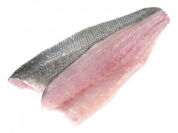 SEABASS FILLET FROZEN
