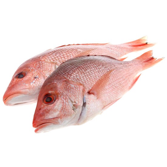 SNAPPER RED SMALL FROZEN
