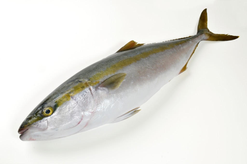 YELLOW TAIL (BURI) FROZEN